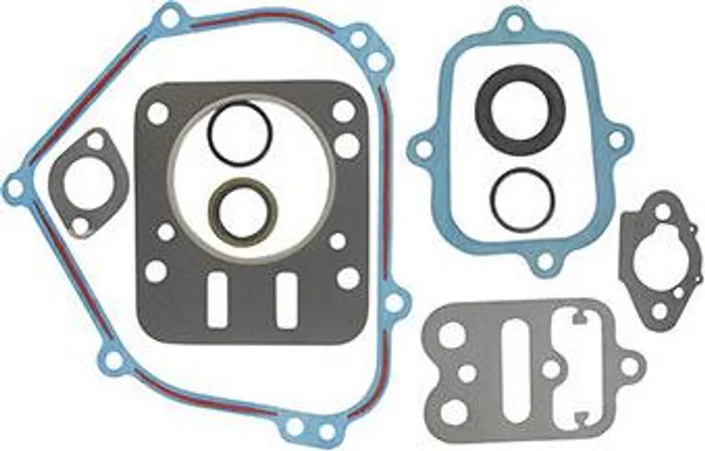 Stopper les fuites moteur Briggs & Stratton avec le sachet type 798540