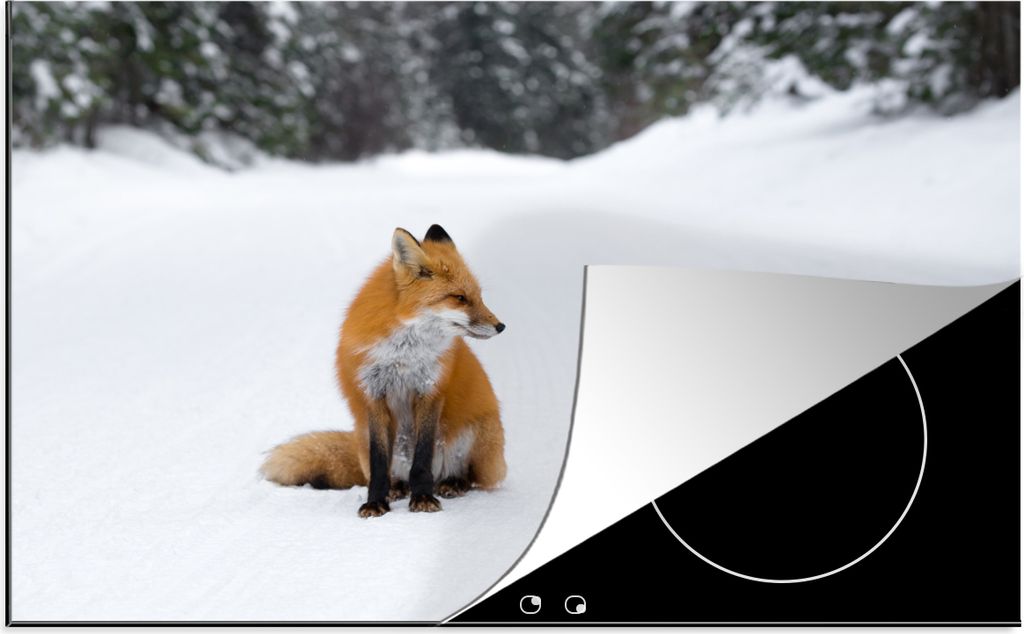 KitchenYeah Herdabdeckplatte Fuchs - Schnee - Winter , 81x52cm, Küche Deko, Glaskeramikkochfeld Herdabdeckung, Abdeckplatte fùr Kochfeld