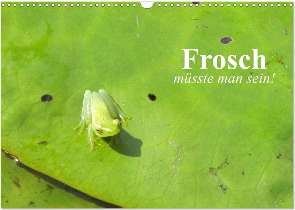 Frosch müsste man sein! (Wandkalender 2026 DIN A3 quer), CALVENDO Monatskalender