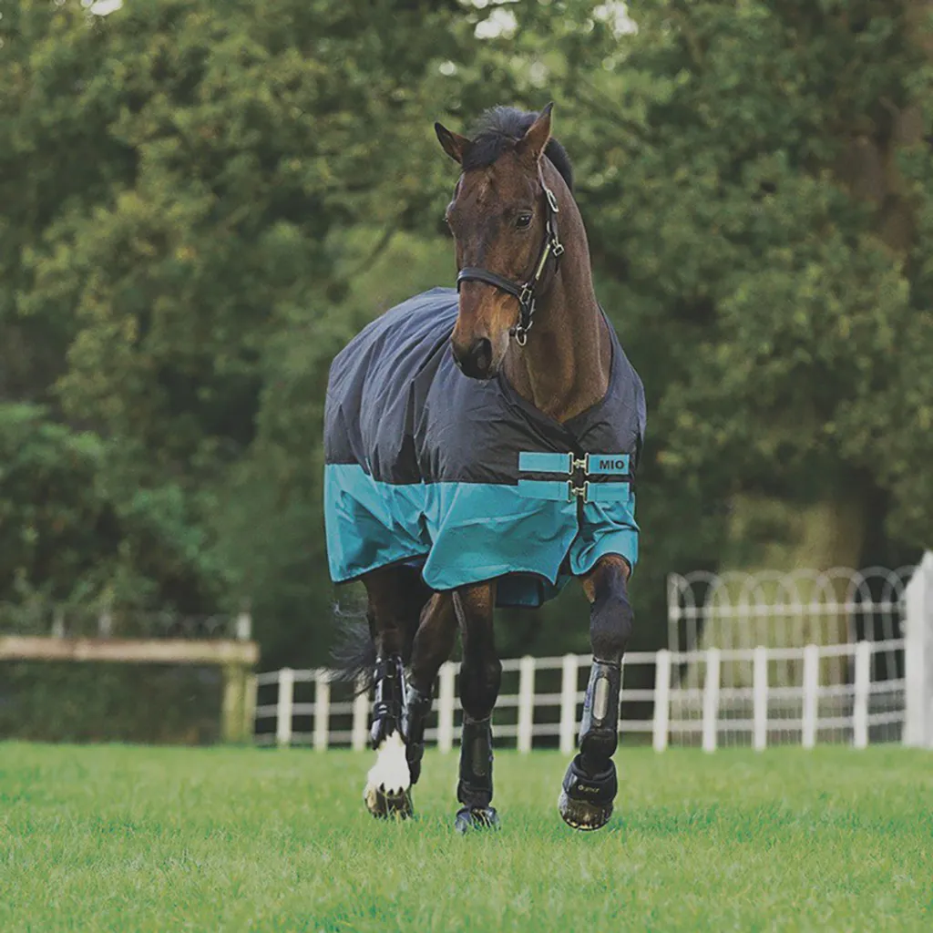 Best Buy Pony: Coperta Horseware Mio 200g Impermeabile 4'0 Black/Turq