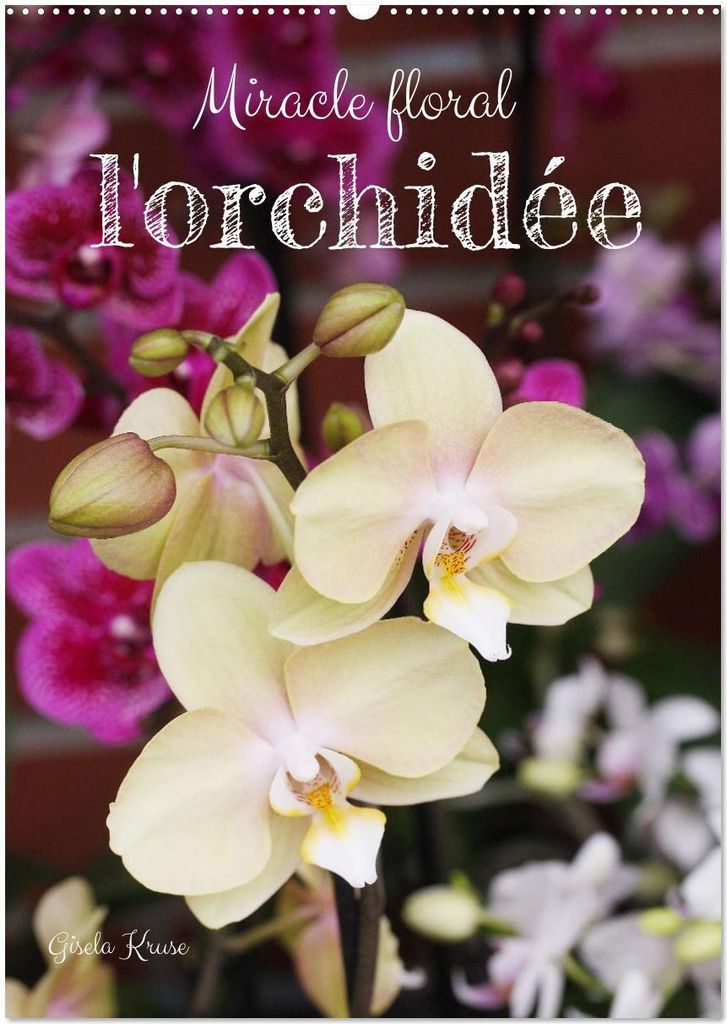 Miracle floral l'orchidée (Calendrier mural 2026 DIN A2 horizontal), CALVENDO calendrier mensuel