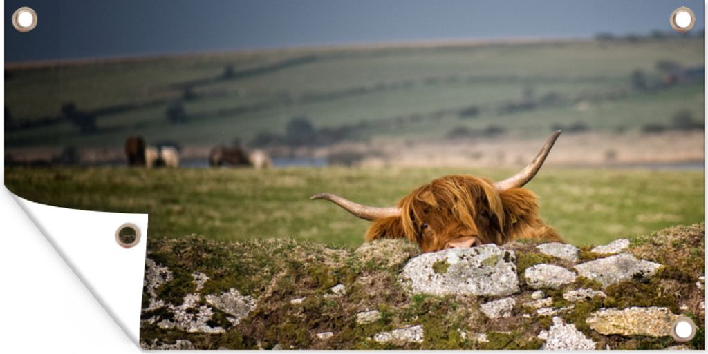 MuchoWow 60x30 cm Outdoor-Poster Gartendeko Sichtschutz Garten Poster für den Garten Schottische Highlander - Steine - Gras