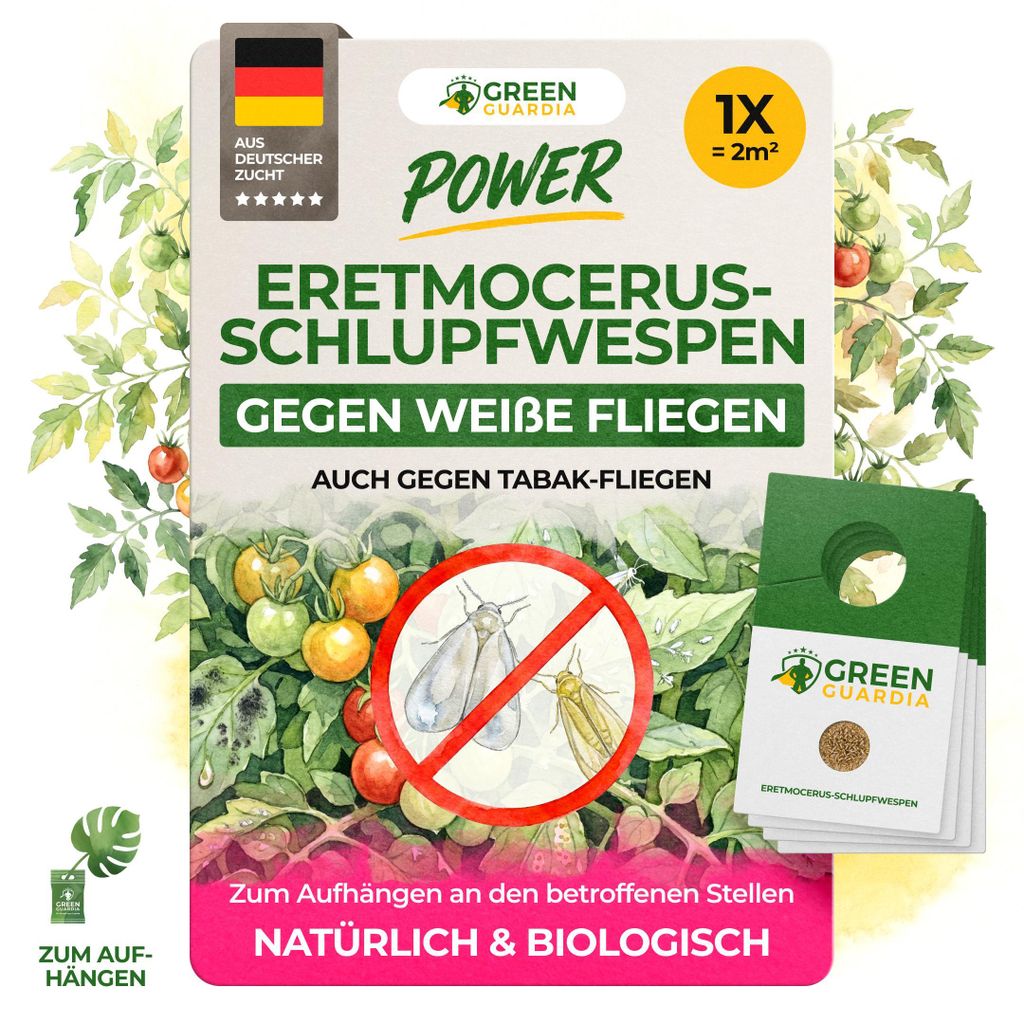 Eretmocerus Schlupfwespen gegen weiße Fliegen & Produktbild 