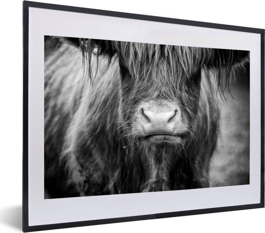 MuchoWow MuchoWow Gerahmtes Poster Schottisches Hochlandrind - Haare - Tiere 60x40 cm - Poster mit zchwarzem Bilderrahmen - Schlafzimmer - Plak...
