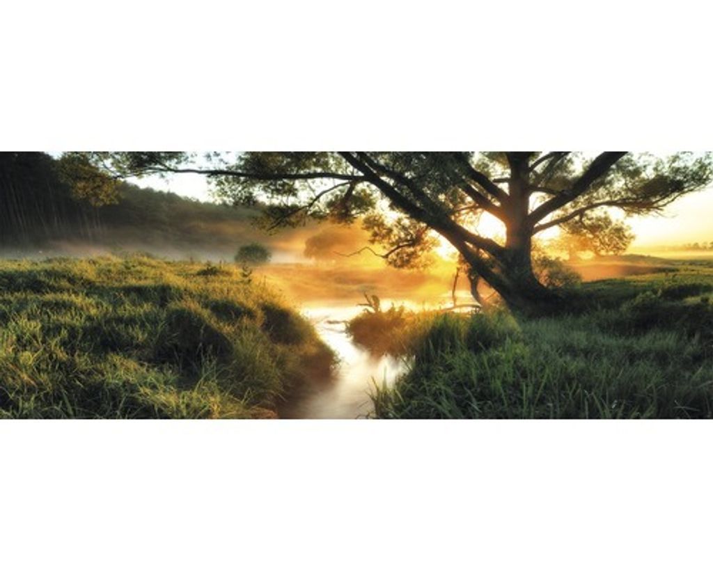 Glasbild Misty landscape II 80x30 cm