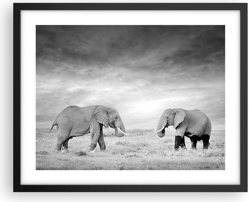 Gerahmtes Poster - Schwarzer Rahmen - Elefanten Schwarzweiß Safari - 50x40 cm - Wand Bild - Wanddeko - Wandbilder - Wandposter - Bilderrahmen - Bi...
