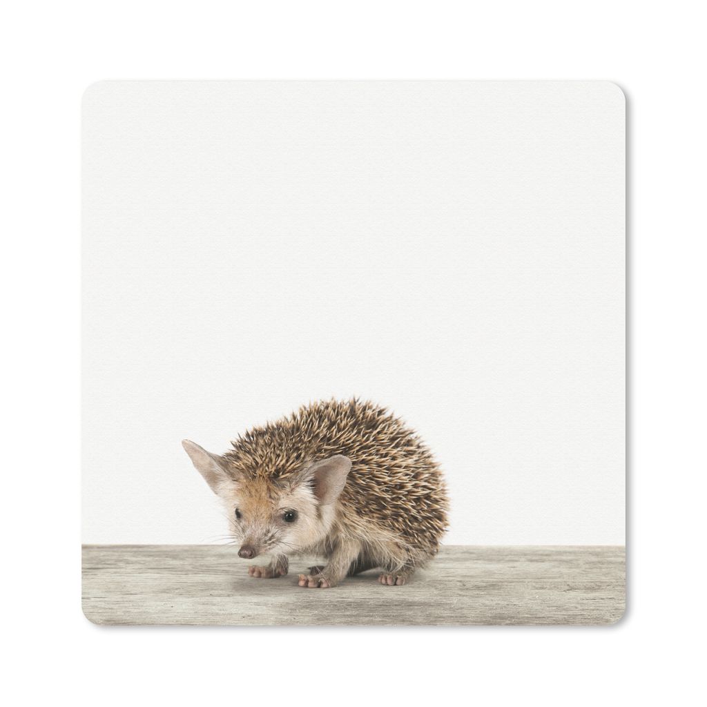 MuchoWow Mauspad Mousepad Igel - Tiere - Jungen - Mädchen 20x20 cm - Mousepads - Maus Mat - Pad - Mausunterlage - Desk Mat - Bureauartikeln