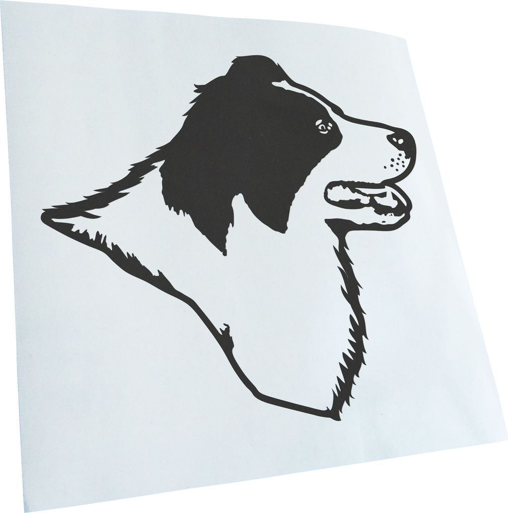 Kiwistar - Autoaufkleber - Border Collie Hund - Dunkelgrau - 50x45cm - Aufkleber für Auto, Laptop, Fahrrad, LKW, Motorrad mehrfarbig JDM Decal Racing