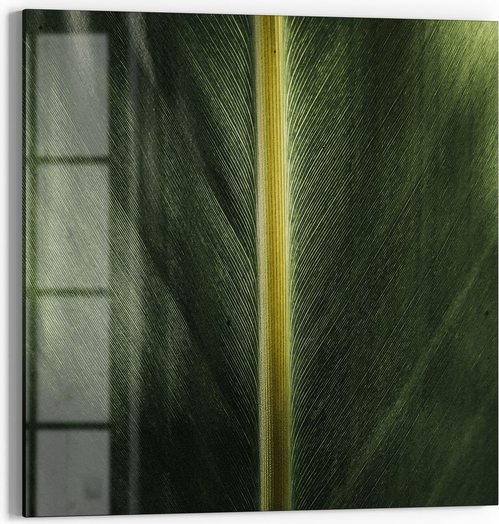 DEQORI Magnettafel Glas 30x30 cm 'Grüne Blattader' beschreibbar Whiteboard Pinnwand Küche