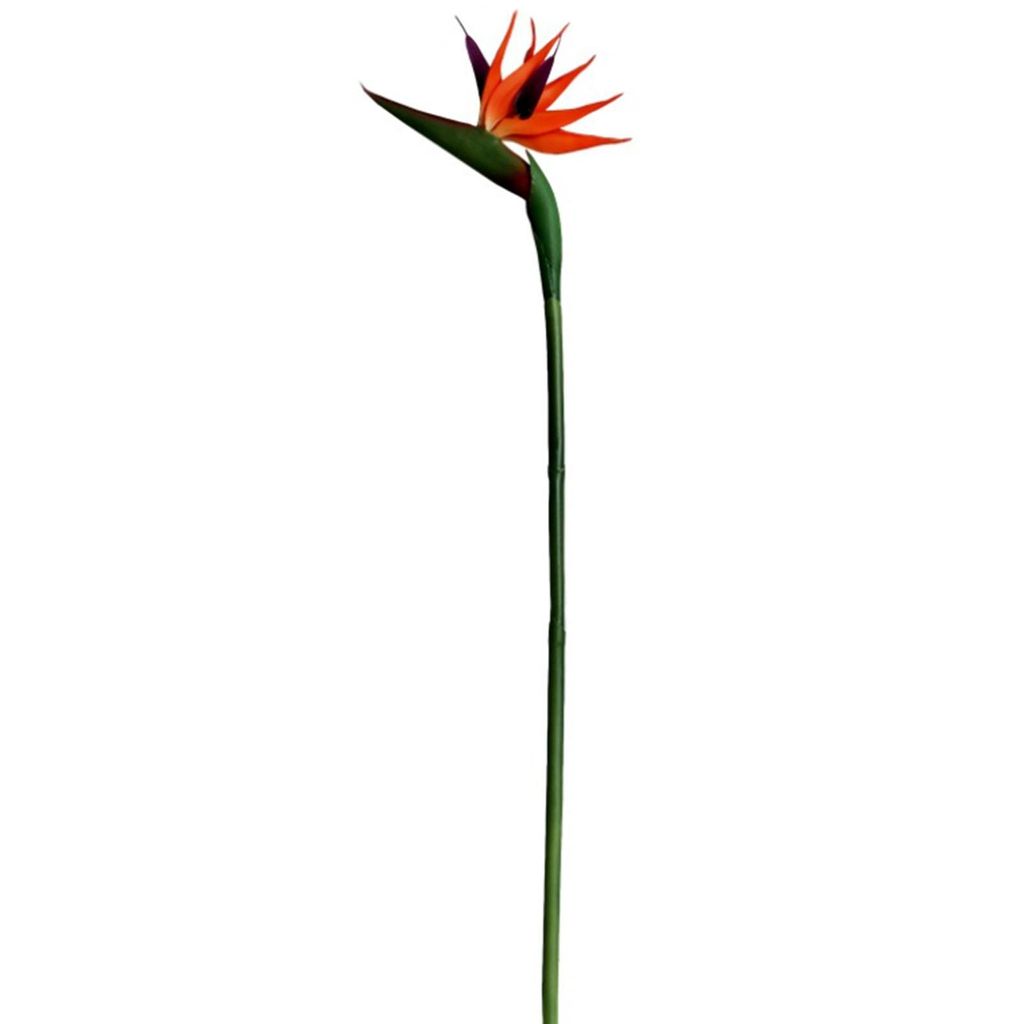 Kunstblume Strelitzie, 55cm täuschend echt, für Home-Deko & Hochzeitsfotos