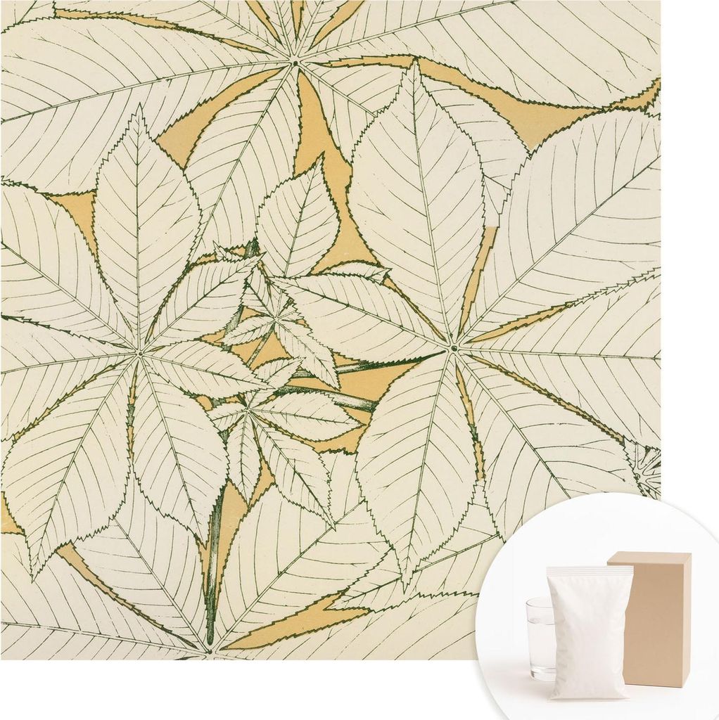Fototapete - Wandbilder für Wohnzimmer - 250x250 cm - Dekorative Wandfolie - Modernes Design für Wanddekoration - Tapeten für Innenräume - Kast...