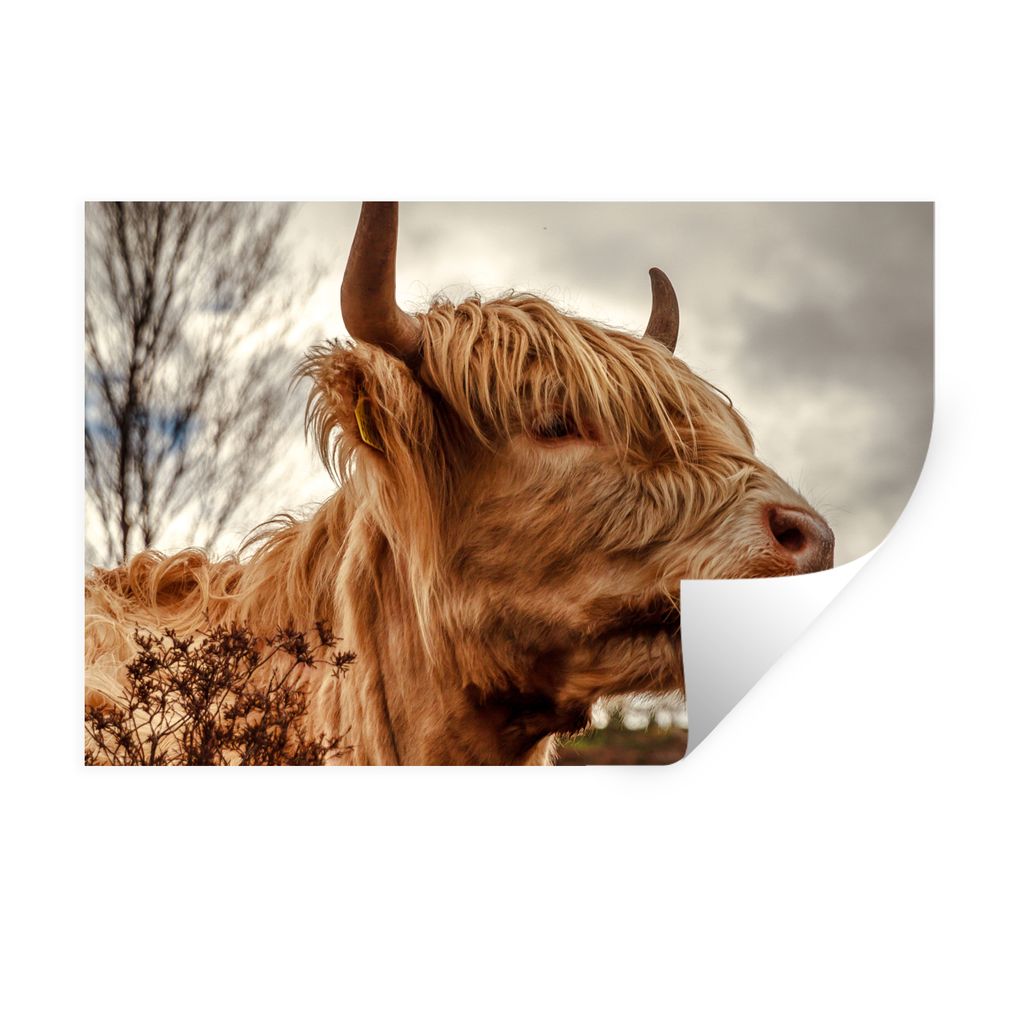 MuchoWow Wandtattoo Wandsticker Wandaufkleber Scottish Highlander - Strauch - Heidekraut 30x20 cm Selbstklebend und Repositionierbar - Wierderver...