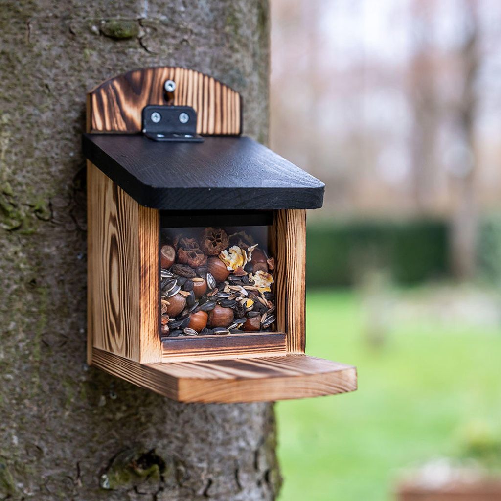 CJ Wildlife Eichhörnchen Futterhaus - Victoria Futterstation - Holz (FSC 100%)/Kunststoff - braun - durchsichtiges Fenster - einzigartiges Finish