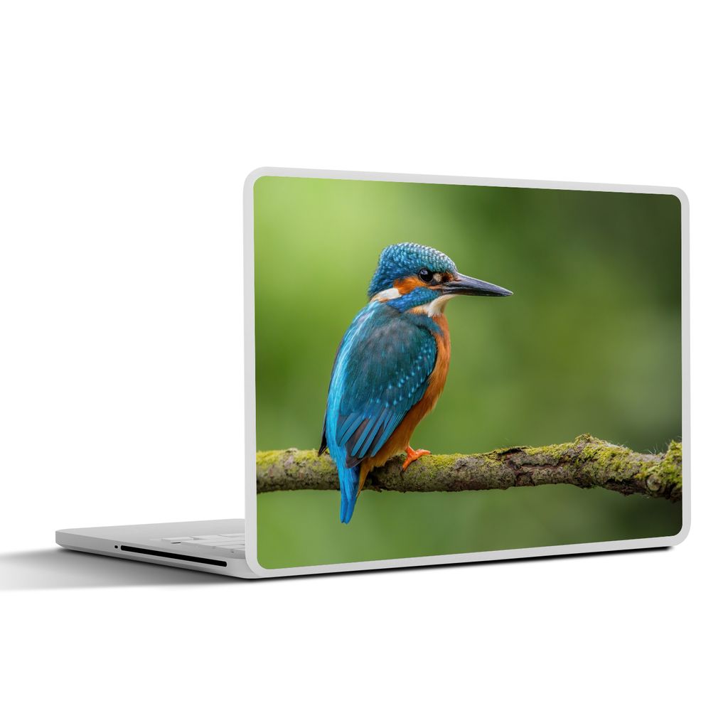 MuchoWow Laptop Aufkleber Sticker Cover Eisvogel - Zweig - Moos - Vogel - Grün 25x18 cm - Laptop-Deko