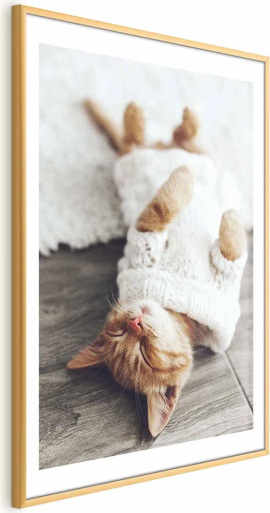 Poster Gatto Pigro 40x60 con Cornice Oro | Decorazione Casa Trendy