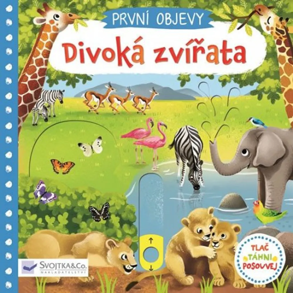 Livre Éducatif Animaux Sauvages Jenny Wren avec Pages Illustrées