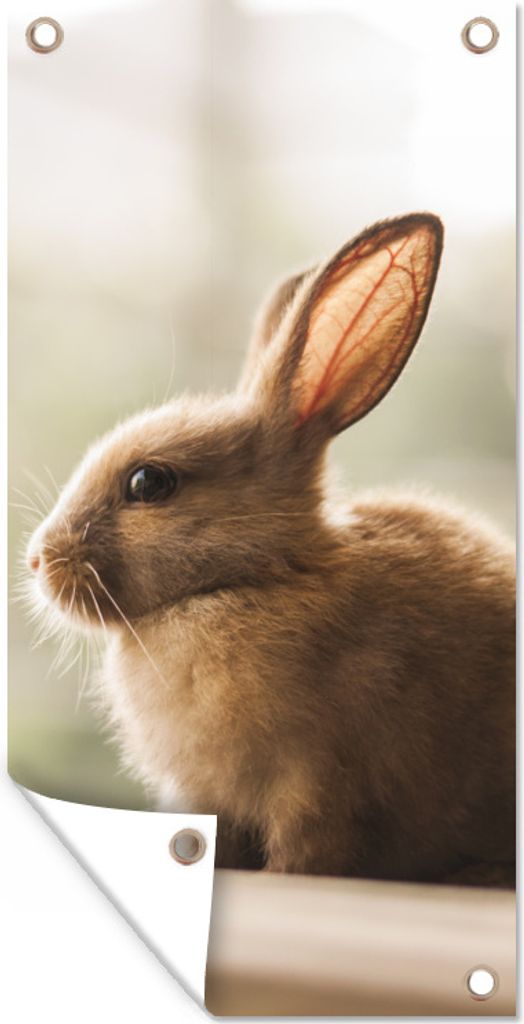 MuchoWow 30x60 cm Outdoor-Poster Gartendeko Sichtschutz Garten Poster für den Garten Kaninchen - Baby - Tier