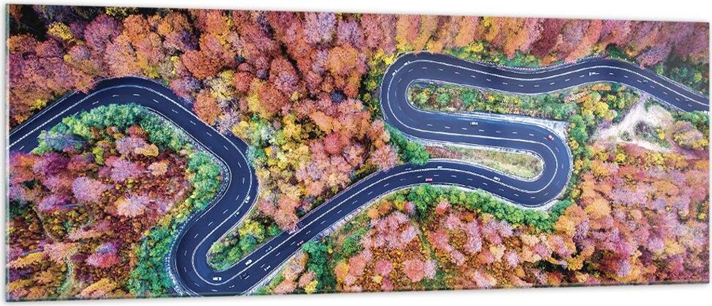 Bilder auf glas - Einteilig - Kurvenreich Weg Wald - 140x50cm - Glasbilder - Wandbilder - Bilder - zum Aufhängen bereit - Wanddekoration aus Glas ...