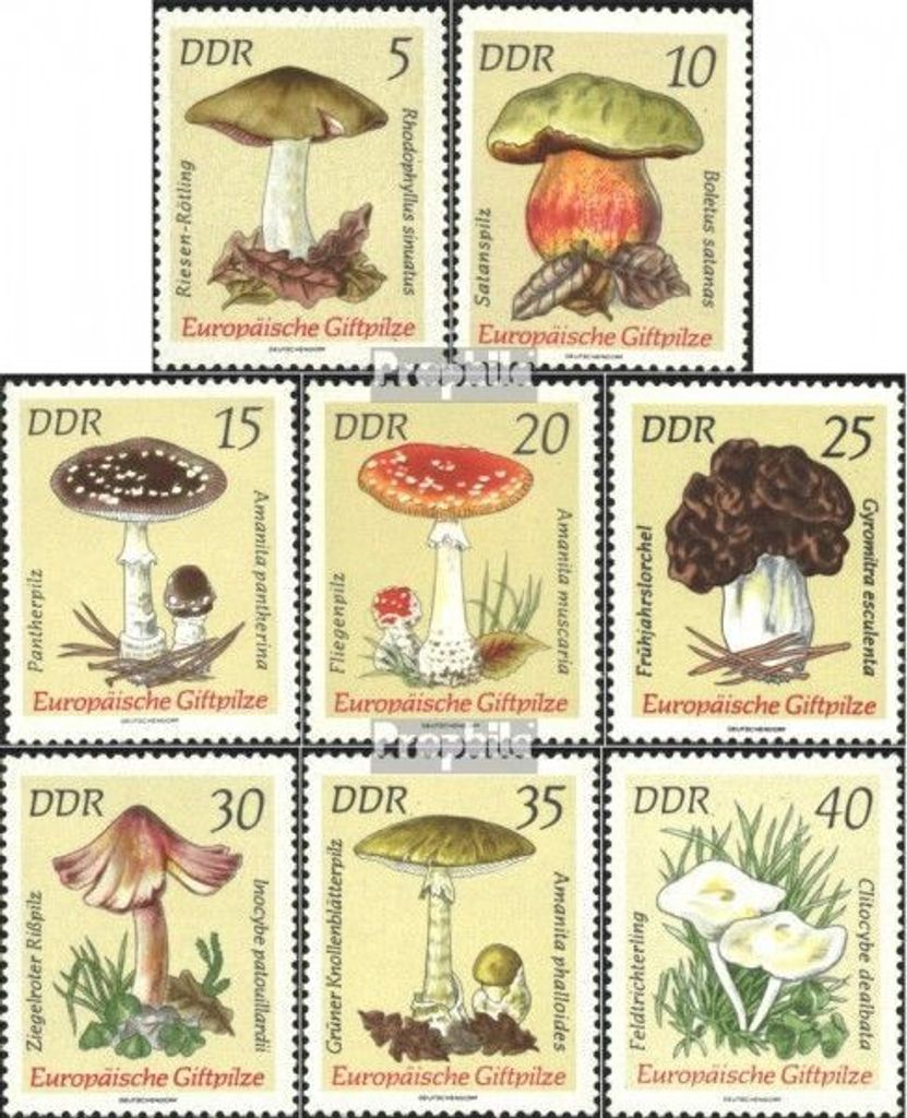 Briefmarken DDR 1974 Mi 1933-1940 (kompl.Ausgabe) gestempelt Europäische Giftpilze