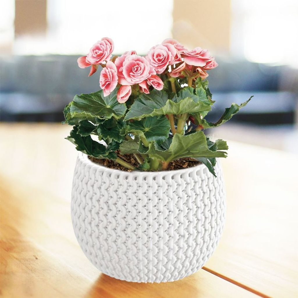 Prosperplast Splofy Vaso Rettangolare In Plastica 7,4 Litri - Colore Antracite, Dimensioni 39,7x18x14,5 Cm Per Piante E Fiori Da Interno/Esterno