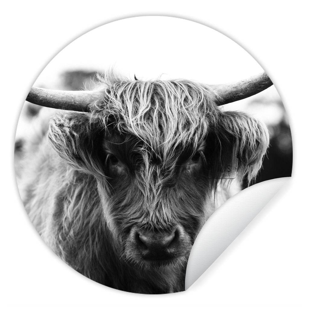 MuchoWow Runde Wandtattoo - Wandsticker Tapete Aufkleber Schottischer Highlander - Kuh - Gras - Tiere - Natur Ø 50 cm Selbstklebend und Repositi...