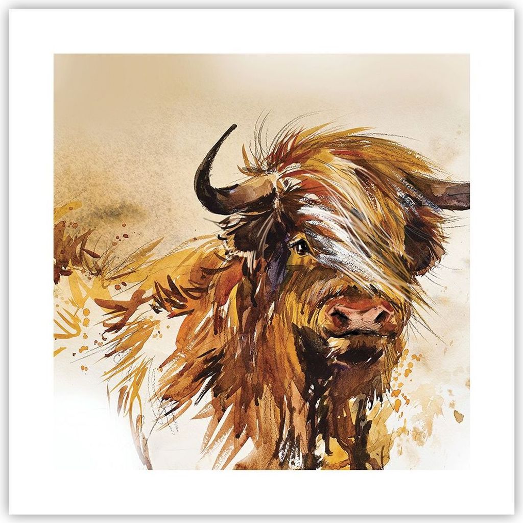 Poster - Poster ohne Rahmen - Stier Scotch Aquarell - 40x40 cm - Wand Bild - Wanddeko - Wandbilder - Kunstposter - Wandposter - Bilder - Kunstdruck...