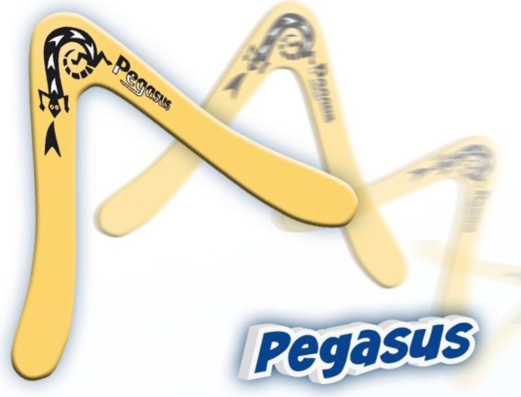 Günther Pegasus Bumerang cca 25 cm Obrázok produktu 