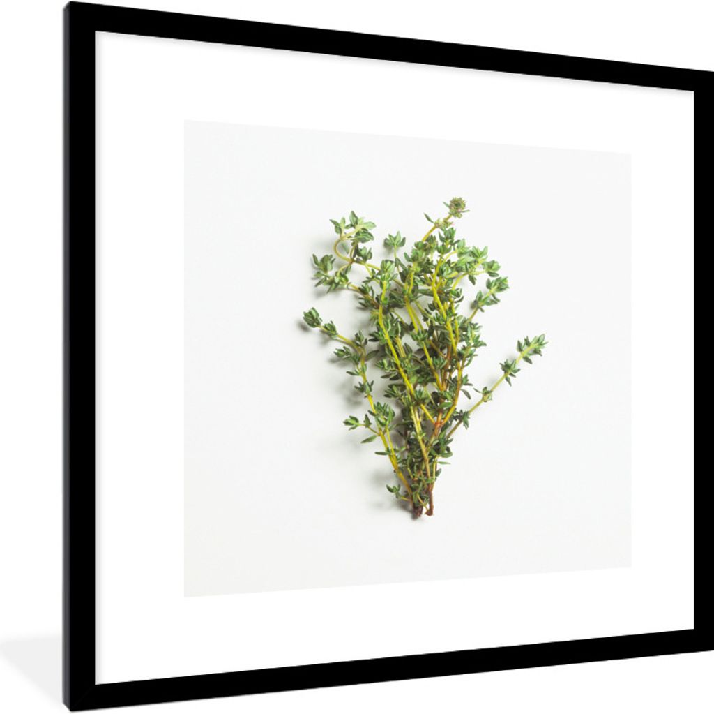 MuchoWow Gerahmtes Poster Strauß frischer Thymiankräuter auf weißem Hintergrund 40x40 cm - Poster mit Schwarzem Bilderrahmen Wandposter Rahmen...