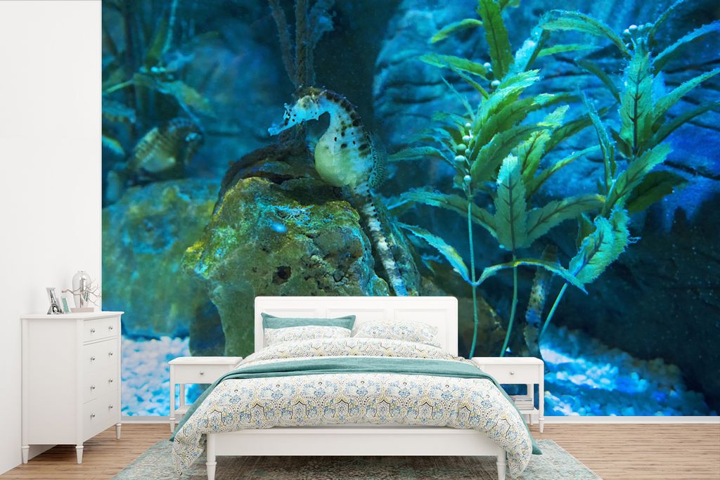 MuchoWow Fototapete für Wohnzimmer oder Schlafzimmer Wandtapete Vinyl Motivtapete Seepferdchen im Meer - 360x240 cm - Vinyl-Tapete