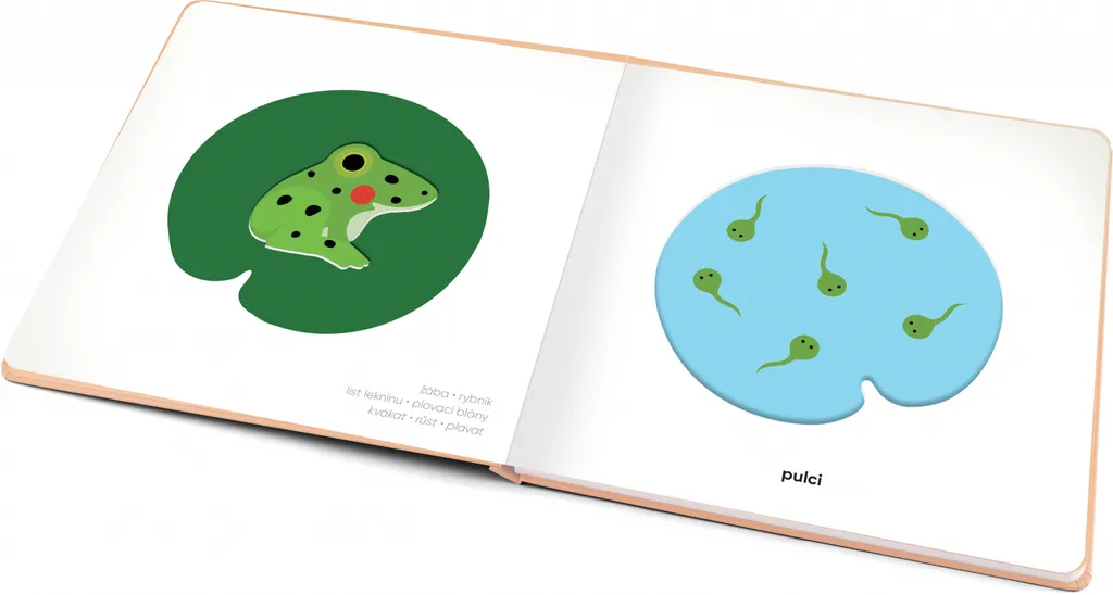 Livre bébé Moje mláďátka Klap klap idéal pour le développement