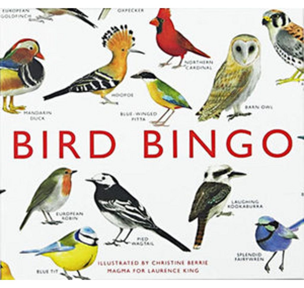Bird Bingo Produktbild 
