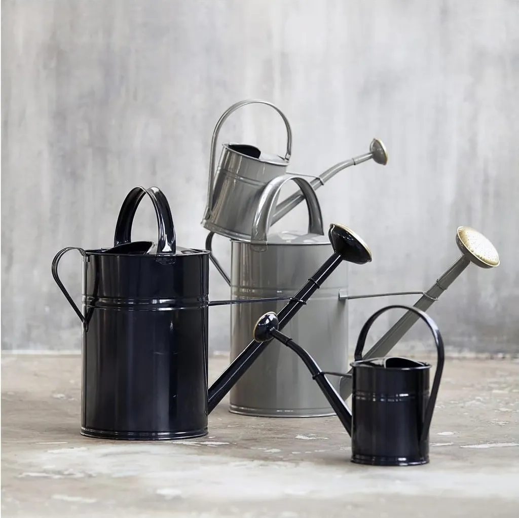 Carafe à Eau Design AS0201 : Pichet de Table Moderne et Transparent