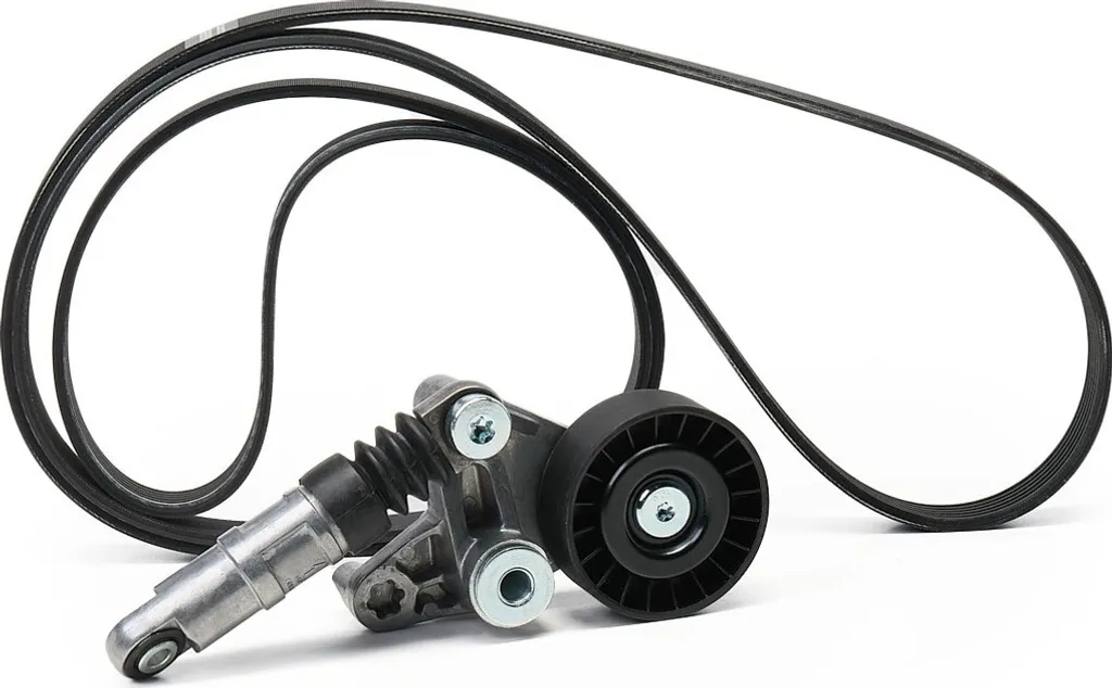 Supprimez les bruits moteur Audi A6 Avant 4F5 avec Kit SKF VKMA 31311
