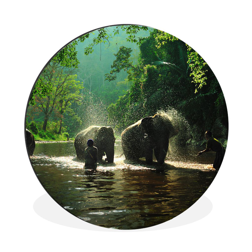 MuchoWow Aluminium Wandkreis Elefant - Wasser - Bäume - Grün - Tiere Ø 60 cm Wanddeko Modern Wohnzimmer - Wand Kreis - Wandbild - Schlafzimmer...