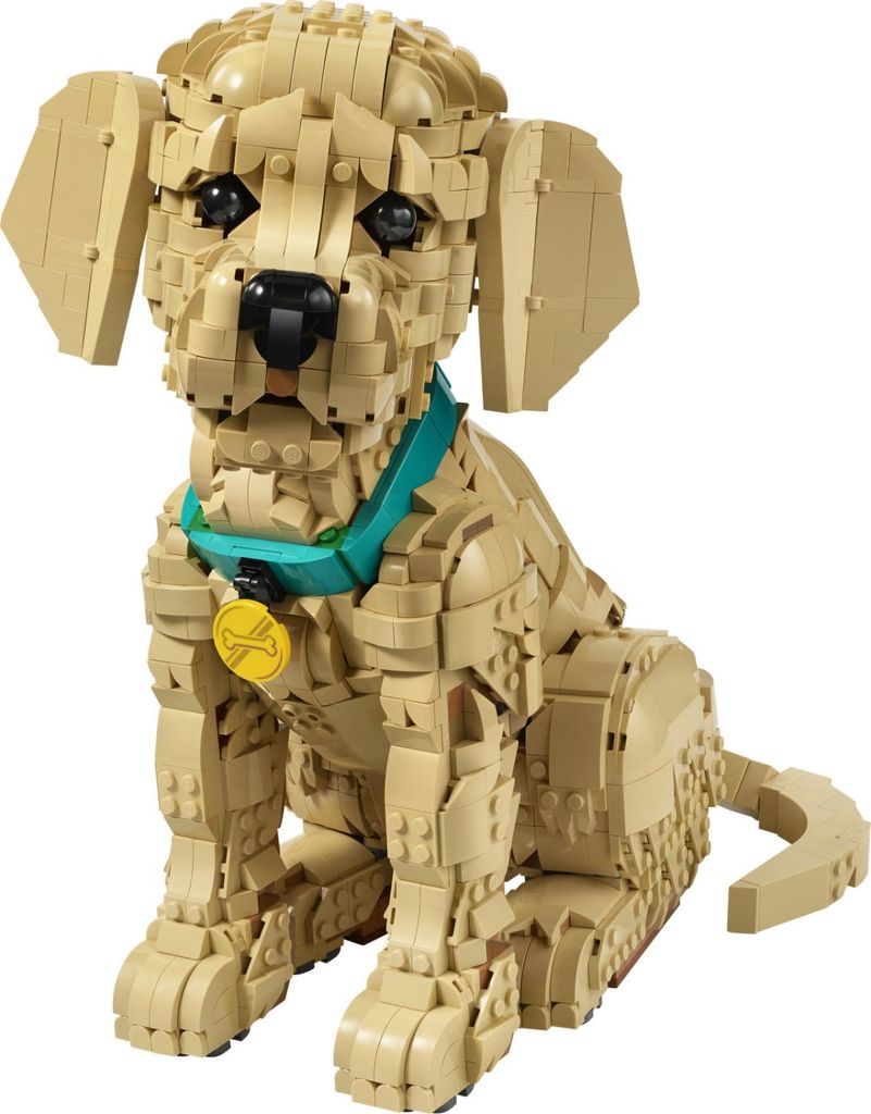 LEGO ICONS 11384 Štěně zlatého retrívra Obrázek produktu 