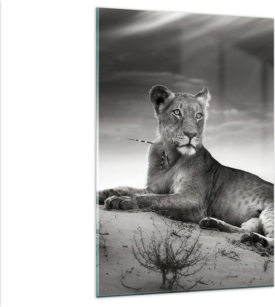 Bilder auf glas - Einteilig - Tierwelt weiblich katze Tier Produktbild 