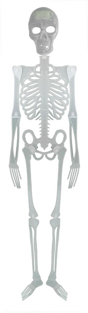 Skelett 150 cm | Halloween-Deko Produktbild 