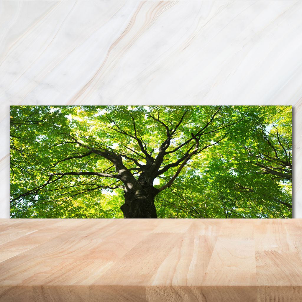 Tulup Küchenrückwand Spritzschutz aus Glas -125x50 -Spritzschutz auf gehärtetes Glas Deko Blumen & Pflanzen Grüner Wald