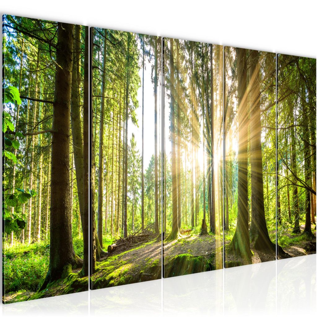 Bild Bilder Wandbild XXL Kunstdruck Leinwand aus Vlies Wald Landschaft Deko