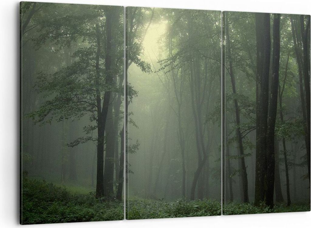 Bild auf Leinwand - Leinwandbild - Wald Nebel Baum - 105x70cm - Wand Bild - Wanddeko - Wandbilder - Leinwanddruck - Bilder - Kunstdruck - Wanddekor...