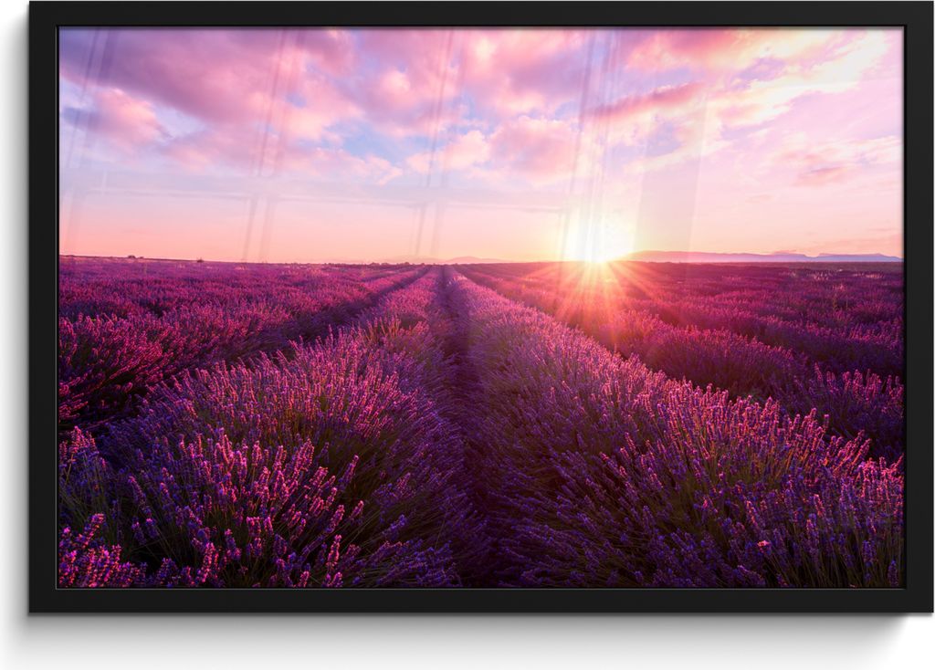MuchoWow MuchoWow Gerahmtes Poster Lavendel - Blumen - Frankreich 60x40 cm - Poster mit zchwarzem Bilderrahmen - Printing - Wanddeko Schlafzimmer