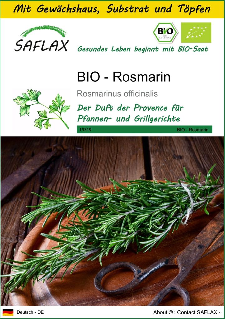 SAFLAX Anzucht Set - BIO - Rosmarin - Rosmarinus officinalis - 40 Samen - Mit Mini-Gewächshaus, Anzuchtsubstrat und 2 Töpfen
