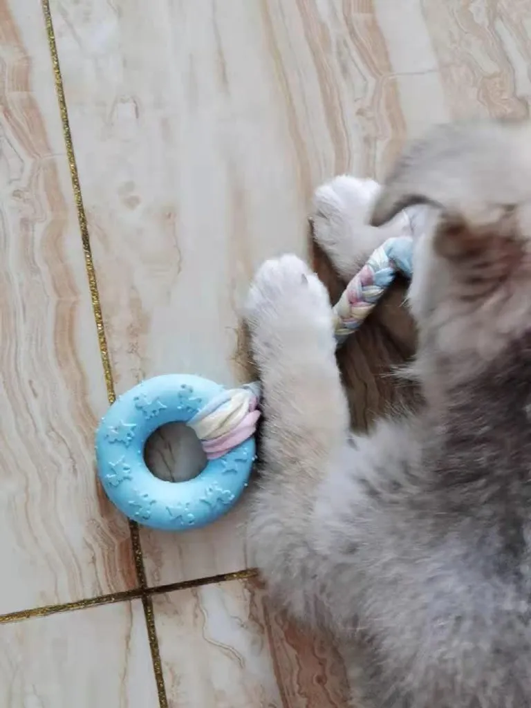 Set de jouets à mâcher pour chiens bleu - 7 pièces pour chiot et adulte