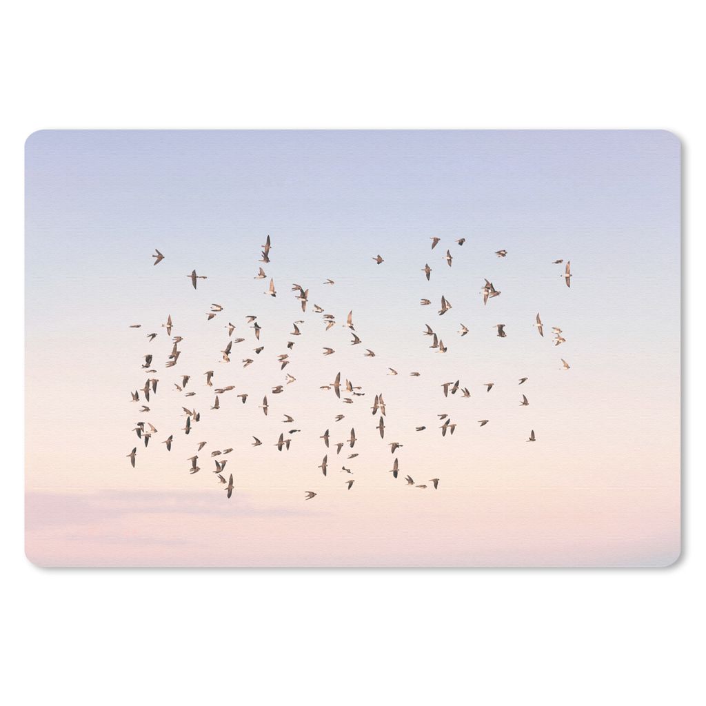 MuchoWow Schreibtischunterlage Vögel - Meer - Himmel - Natur - Sommer 60x40 cm - XXL Mauspad - Großes Mauspad