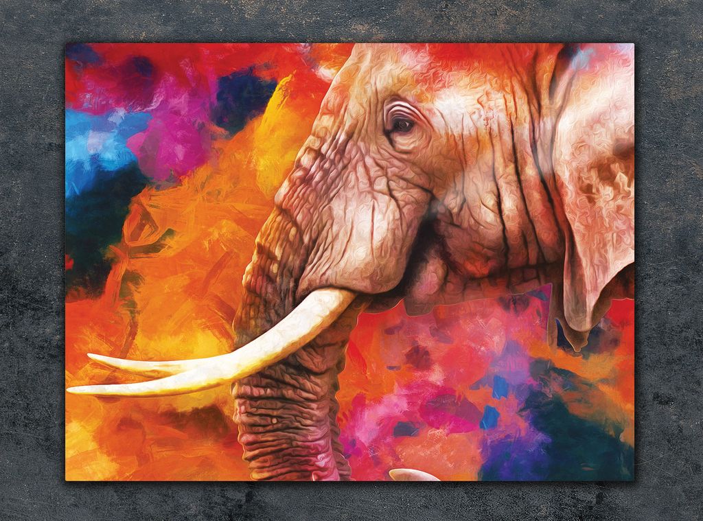 Schneidebrett Herdabdeckplatte Multiglasschneidplatte 40x30 cm Elefant Bunt