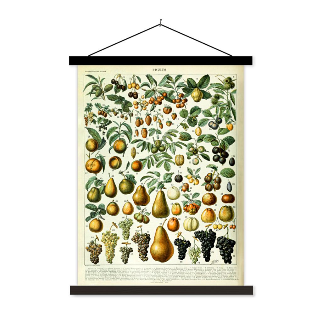 MuchoWow Textilposter Adolphe Millot - Jahrgang - Obst - Birne - Trauben 60x80 cm mit schwarzem Rahmen - Plakathalter