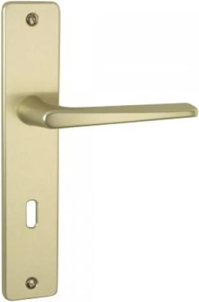 Remplacer Poignée de Porte Usée : Ensemble Riviera 90 Bezault 195mm Clé i