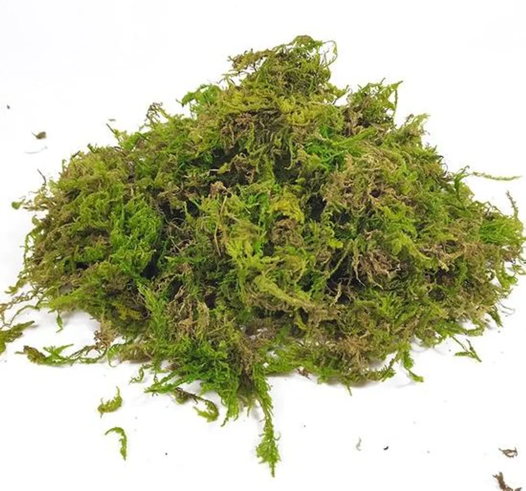 Substrat sphaigne naturelle 150g, idéale pour rempotage et culture bio