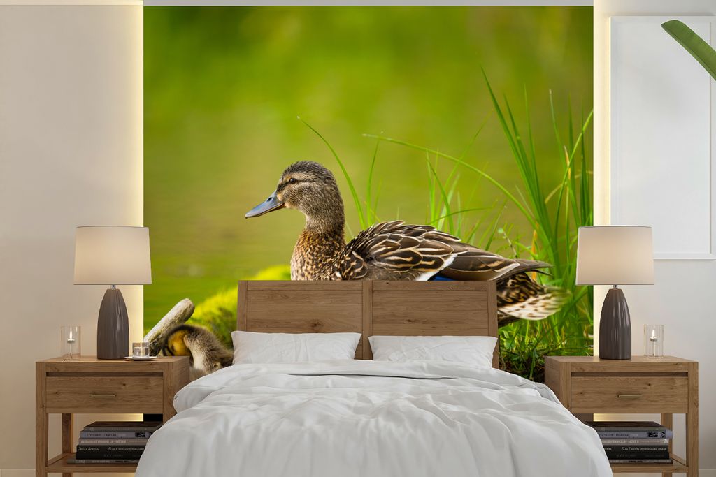 MuchoWow Fototapete für Wohnzimmer oder Schlafzimmer Wandtapete Vinyl Motivtapete Ente - Vögel - Wasser - Zweig - Moos - 350x350 cm - Schlafzim...