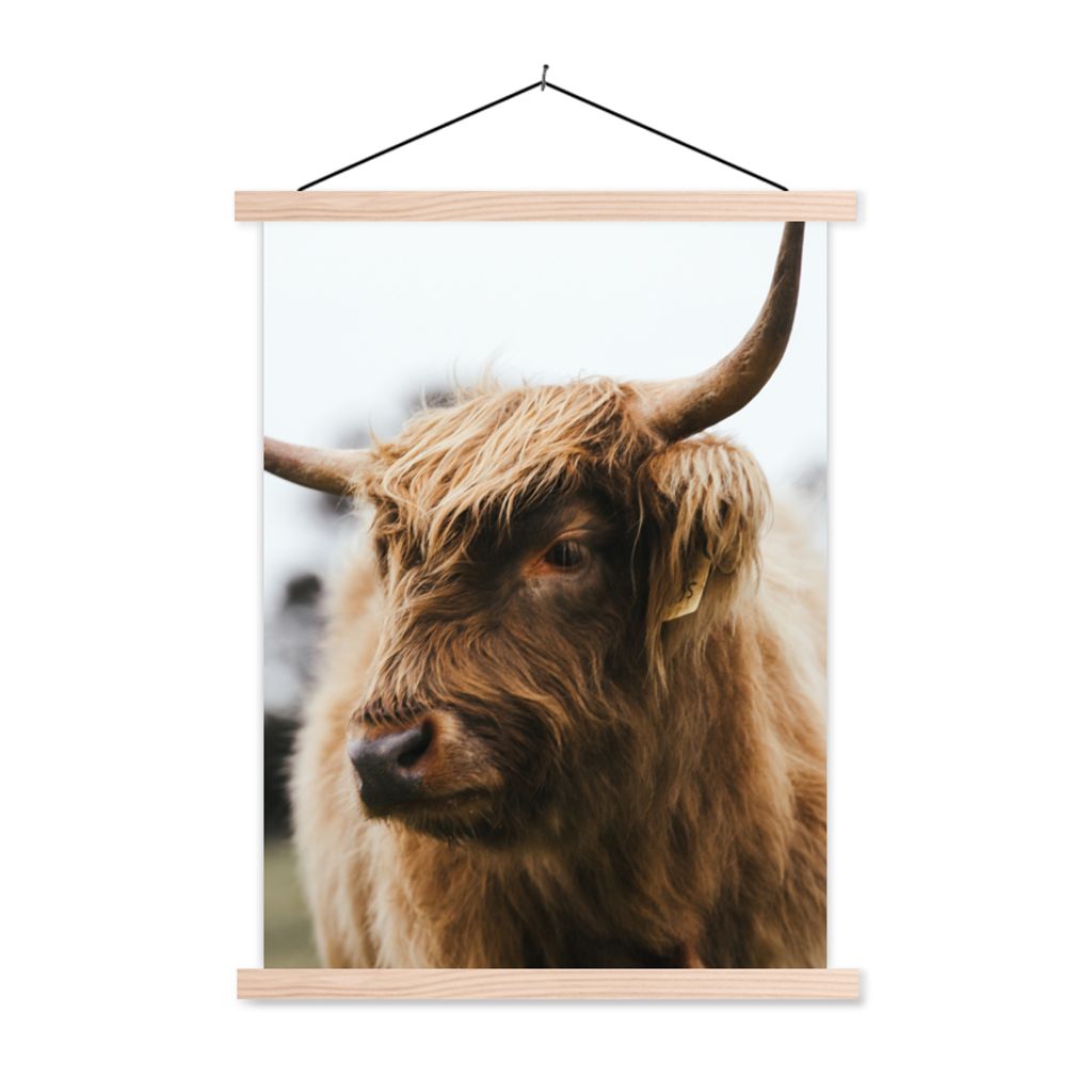 MuchoWow Textilposter Schottischer Highlander - Tiere - Hörner 60x80 cm mit holzfarbenen Rahmen - Wandbild